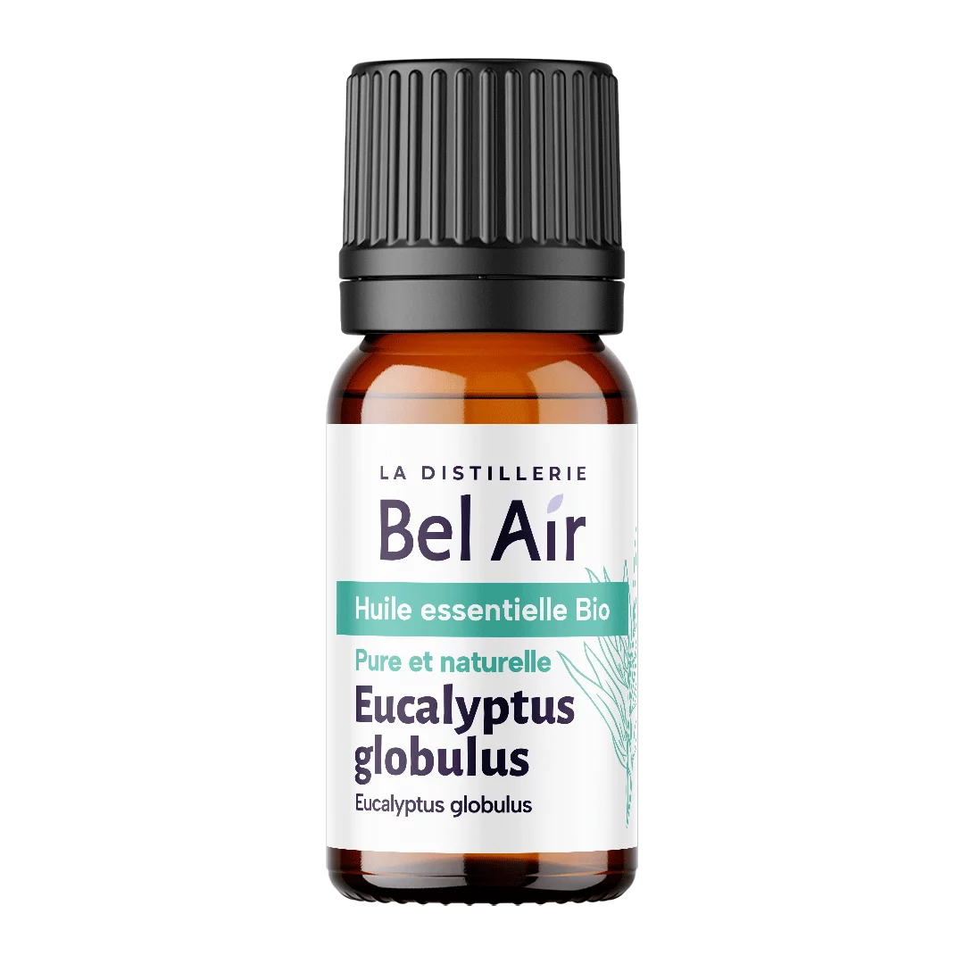 Organic Eucalyptus Globulus Essential Oil