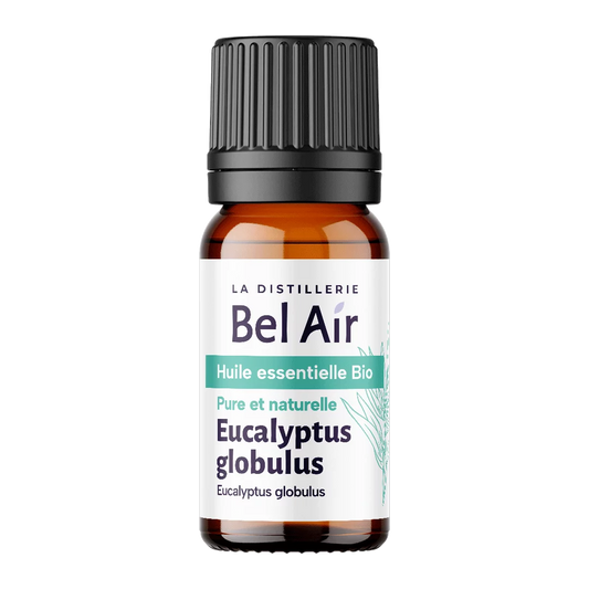 Organic Eucalyptus Globulus Essential Oil