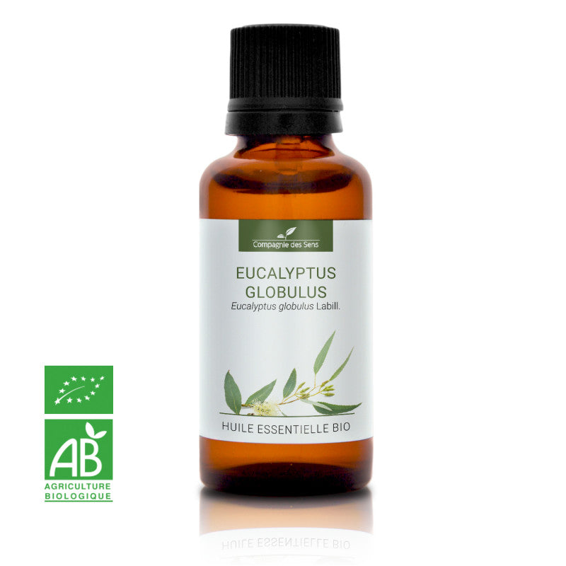 Organic Eucalyptus Globulus Essential Oil